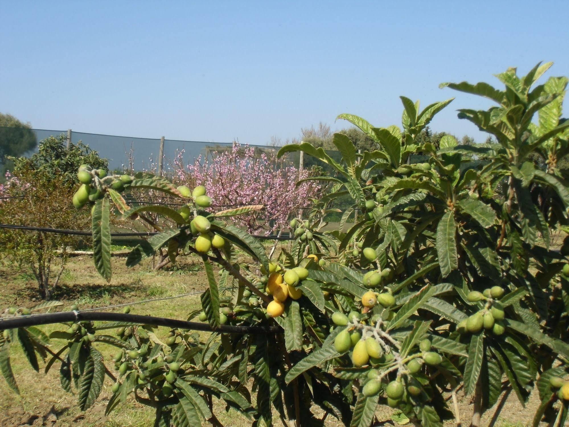 Willa Stella Di Sicilia Acquedolci Zewnętrze zdjęcie